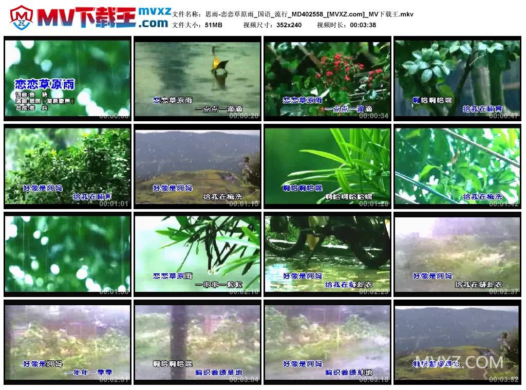 思雨-恋恋草原雨_国语_流行_MD402558